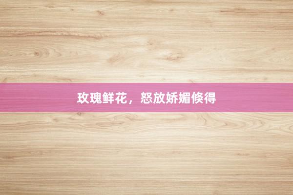 玫瑰鲜花，怒放娇媚倏得